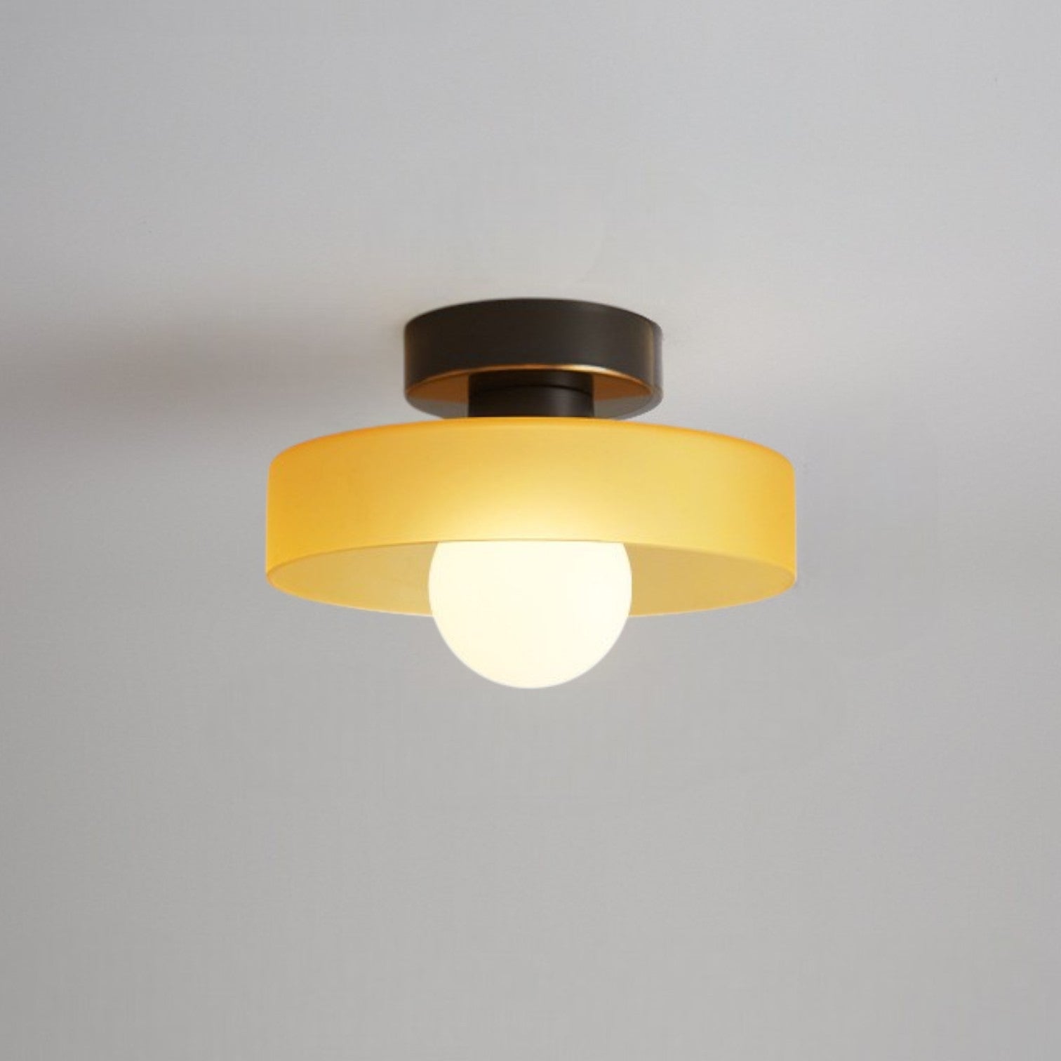 Semi plafoniera LED tonda in vetro con globo