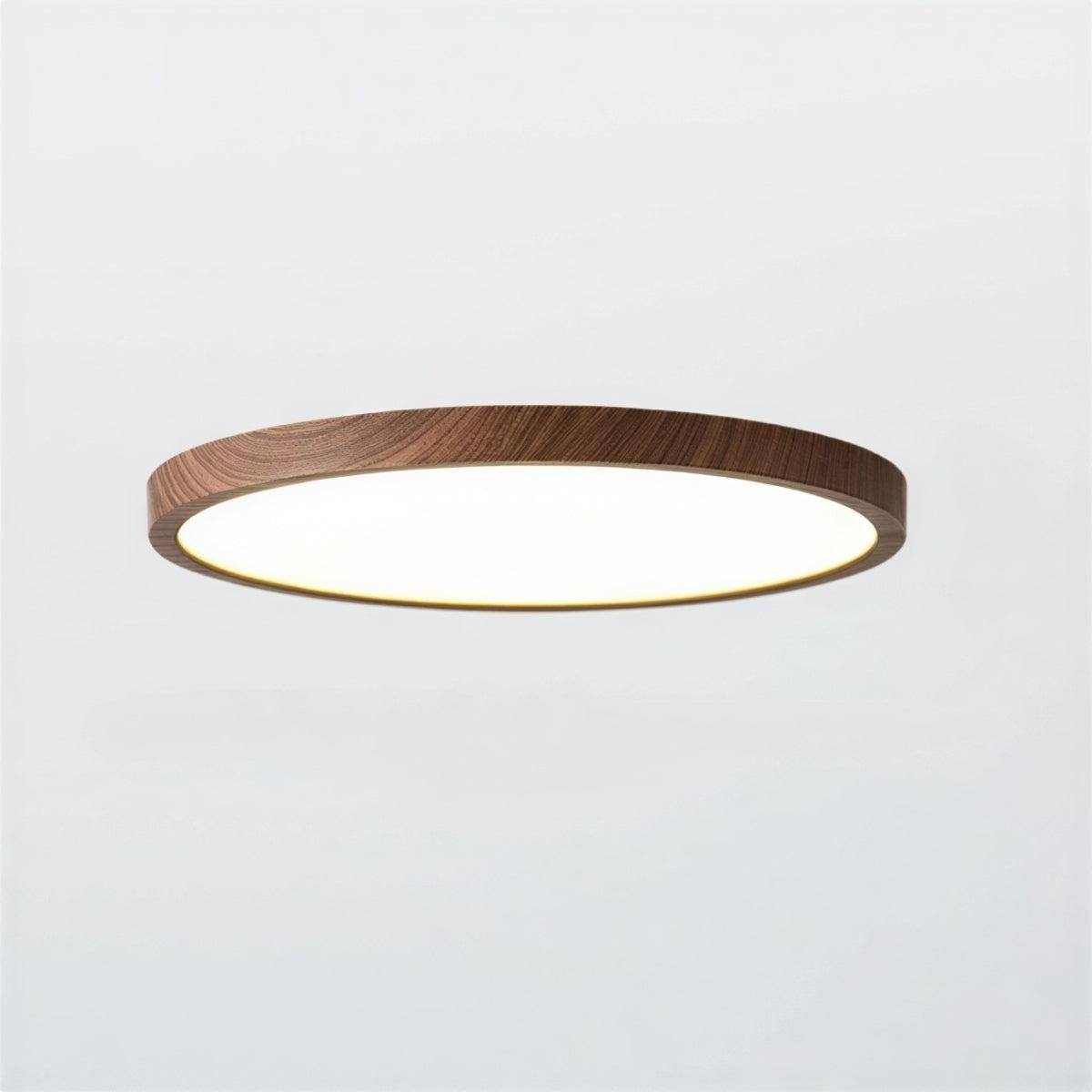 Plafoniera a soffitto circolare ultrasottile con modalità di illuminazione regolabili