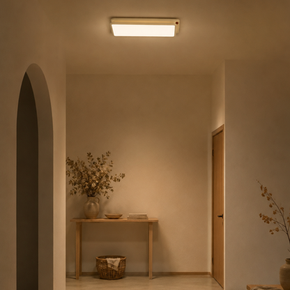 Plafoniera a soffitto LED moderna in acrilico e ferro