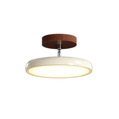Plafoniera LED rotonda retrò vintage in ferro e acrilico