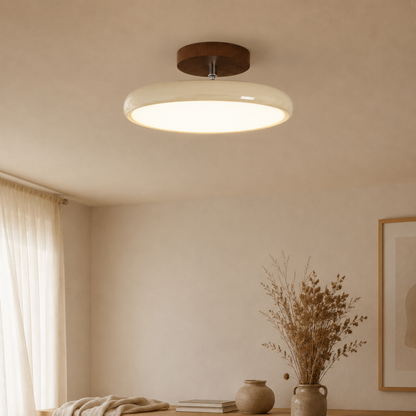 Plafoniera LED rotonda retrò vintage in ferro e acrilico